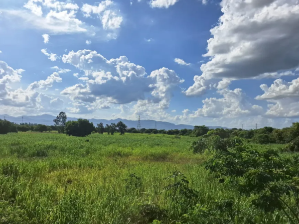 Terreno / Lote Comercial à venda, 100000m² – Santa Cruz