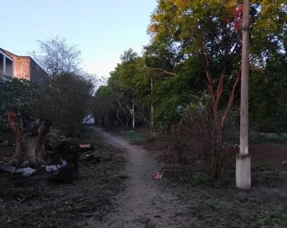 Terreno / Lote Comercial à venda, 8000m² – Campo Grande